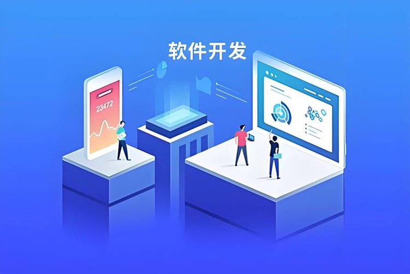 解析上海网站建设的案例