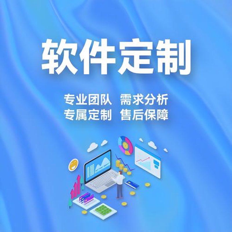 ERP系统开发